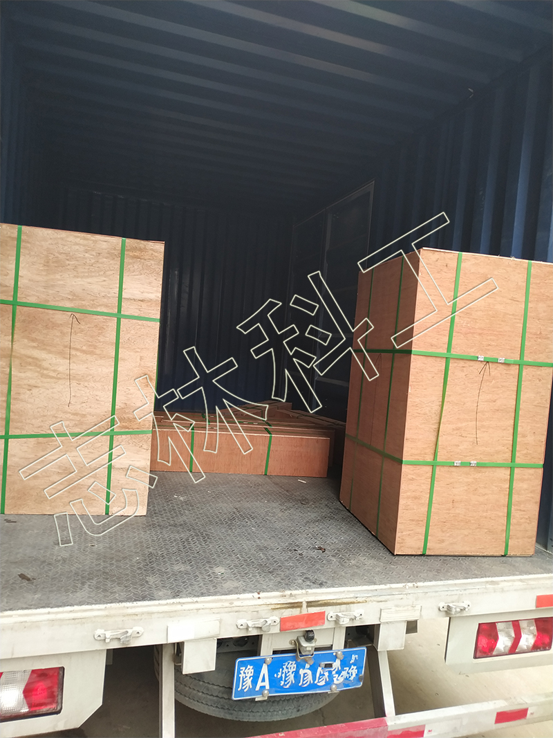 微信圖片_20200628102016