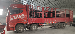 pvc-km1.6/63 煤礦用聚氯乙烯管發(fā)貨陜西煤礦