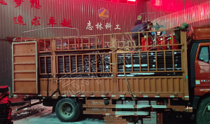 15000米PVC-KM1.25/32、50煤礦用聚氯乙烯管發(fā)貨山西長治