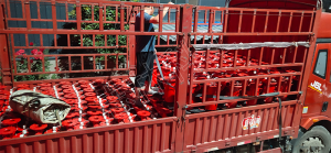 WPG-FY型立式負(fù)壓自動(dòng)放水器發(fā)貨山西長(zhǎng)治！