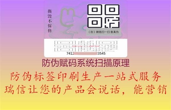 防偽賦碼系統(tǒng)掃描原理2.jpg